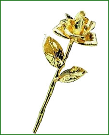 Rose - 24Kt Gold - The Original Gold Rose!