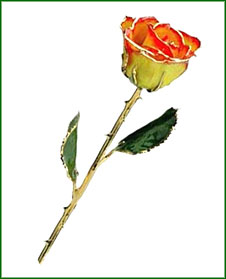 Rose - 24Kt Gold - Yellow and Red