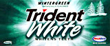 Trident White Wintergreen 12CT