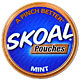 SKOAL POUCHES MINT 5CT/ROLL