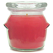 Soy Candle Peppermint 11oz Jar