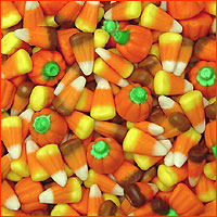 Autumn Mix 1 lb.