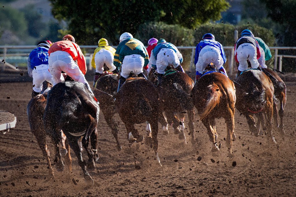 Shot from behind is a line of jockeys on horses mid race. 