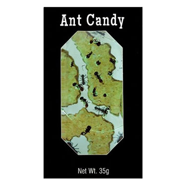 Hotlix Ant Candy Apple 1.24oz 