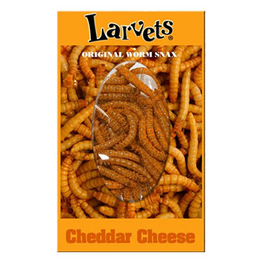Hotlix Larvets Snax Cheddar Cheese 1.4oz 