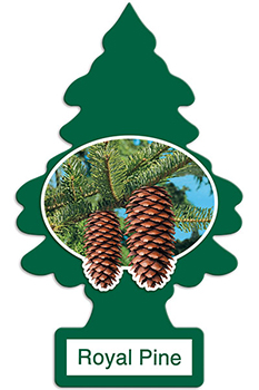 Little Trees Royal Pine Freshener 1ct 