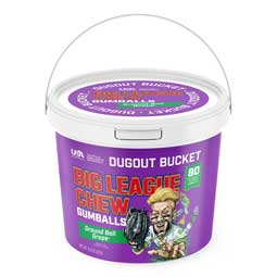 Big League Chew Gumballs Grape Dugout Bucket 