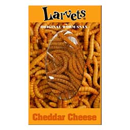 Hotlix Larvets Snax Cheddar Cheese 1.4oz 