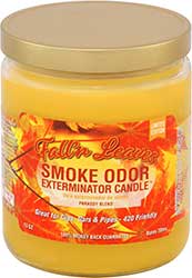 Smoke Odor Exterminator Candle Fall n Leaves 