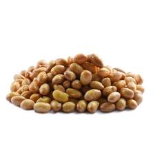 Soynuts Whole Roasted and Salted 1lb 