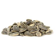 Sunflower Seeds Colossal Roasted and Salted 1lb 