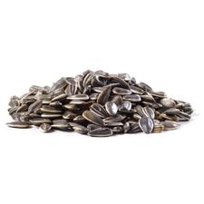 Sunflower Seeds Colossal Roasted and Unsalted 1lb 