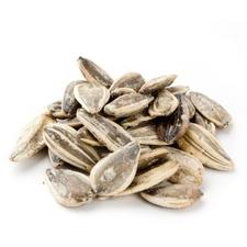 Sunflower Seeds Israeli Roasted Salted 1lb 