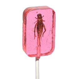 Hotlix Cricket Lick It Sucker Strawberry 1oz 