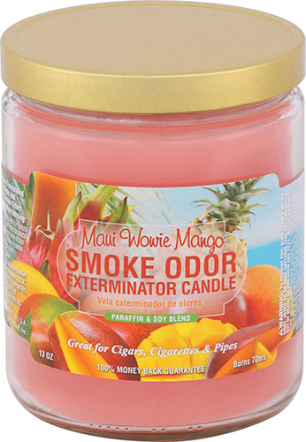 Smoke Odor Exterminator Candle Maui Wowie Mango 