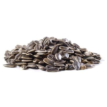 Sunflower Seeds Colossal Roasted and Unsalted 1lb 