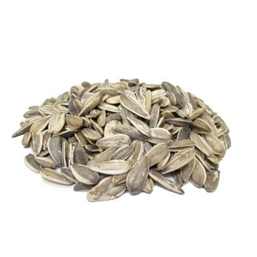 Sunflower Seeds Israeli Roasted Unsalted 1lb 