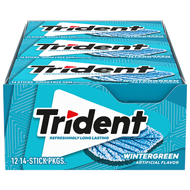 Trident Sugar Free Gum Wintergreen 12ct Box 