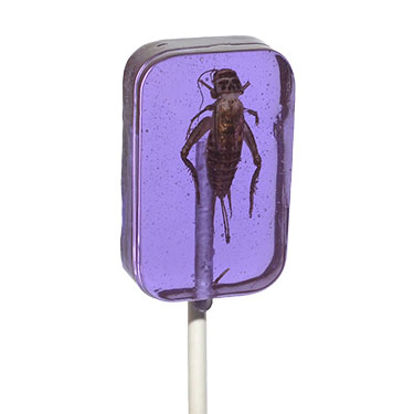 Hotlix Cricket Lick It Sucker Grape 1oz 