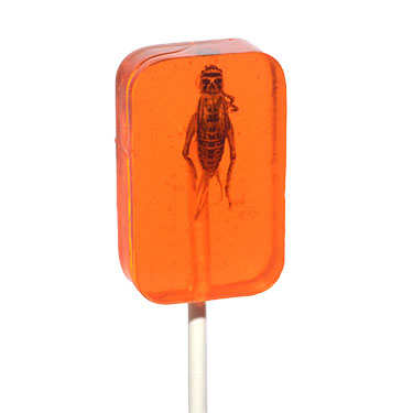 Hotlix Cricket Lick It Sucker Orange 1oz 