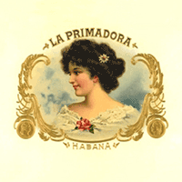 La Primadora Starbrite Medium Brown